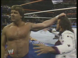 Honor the "Rowdy One" on His Birthday With the Best of Piper's Pit