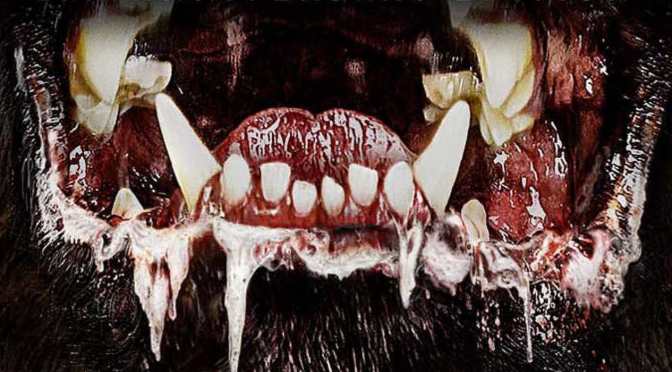 Creature Feature Presents – Rabies! It Is A Silent Predator And It’s All Around Us.