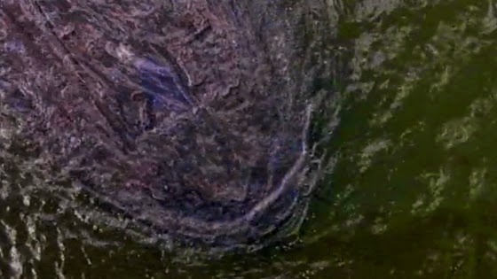 Creature Features: The Mucho-Ecological, Man-Eating Lake Blob From