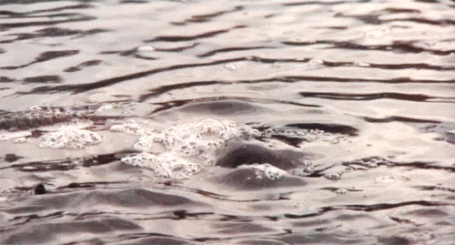 Lake Blob Creepshow 2